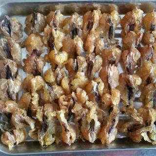 蛤蟆油 精选【雪蛤