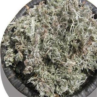茵陈 别名白蒿,牛至,田耐里,因尘,马先,绵茵陈,绒蒿,细蒿,安吕草