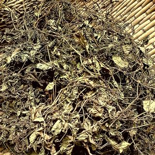 野生绞股蓝降压降脂_中药材诚实通