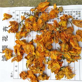 金莲花 茶花 产地 内蒙古自治区呼伦贝尔市