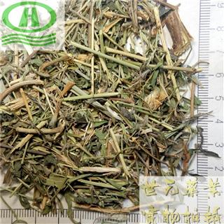 世元药业 铁线透骨草 正品常用别称 狗肠草 药曲草 粘人裙 接生草 毒