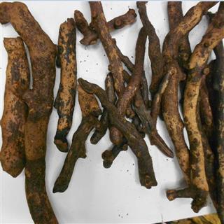 炒骨碎补 统货 产地 云南省