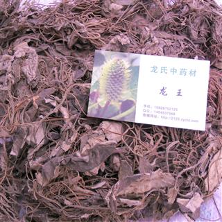 首页 全草类 兔耳草 收藏商品