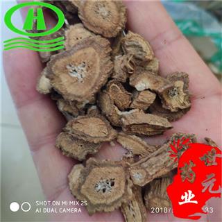 世元药业 牛蒡根 正品无硫z 别称恶实根 鼠粘根 牛菜