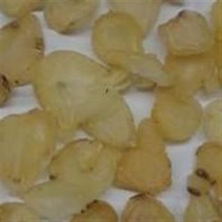 白附片 统片