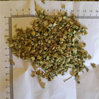 蒺藜统货产地内蒙古自治区