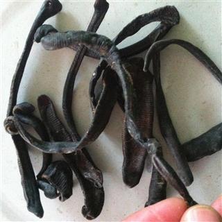 水蛭 正品清水吊干 蚂蟥 破血逐瘀通经 不含矾盐 库存500公斤