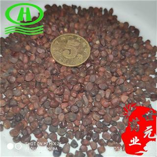 世元药业 马蔺子 正品别称 马薤 铁扫帚 剧草 旱蒲 马兰子 蠡实 荔实