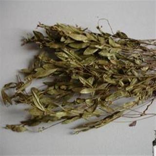 百川药业 瓜子金 优质 饮片 正品