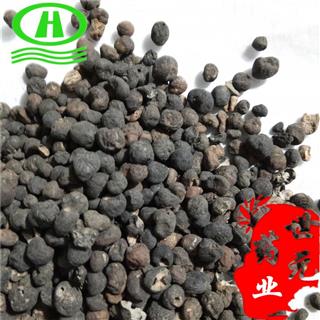 世元药业 地下明珠 铁秤锤 土地子 地下珍珠 茅膏菜根