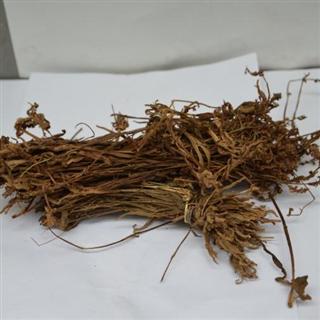 盘龙参