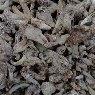 白芨 选 产地 贵州省黔西南布依族苗族自治州晴隆县-中药材诚实通