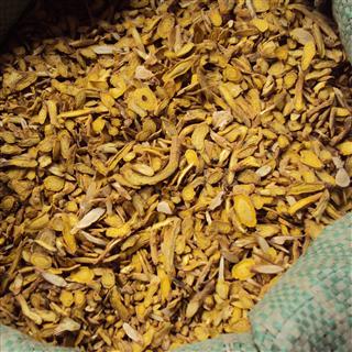 黄芩 统片 产地 甘肃省定西市渭源县