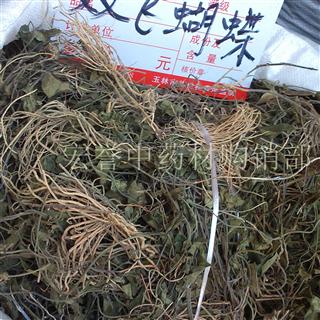 双飞蝴蝶冷背偏门中药材产地广西