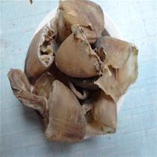 中药材猪蹄甲 生猪蹄甲20 产地河南