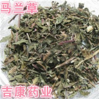 中药材 马兰草 路边菊 田边菊 水兰 鱼鳅串 黄花龙舌草