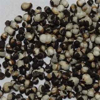 首页 果实籽仁类 王不留行  收藏商品