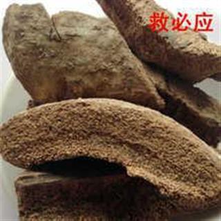 【芝春中药】救必应 (白木香,羊不吃) 统 产地 广西 清热解毒 利湿 冷