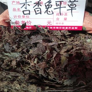 杏香兔耳草 统货 产地 广西壮族自治区贺州市市辖区