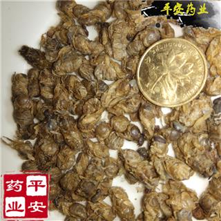 平安药业 雄蜂蛹 蜂蛹 干品 优质 批发 促销