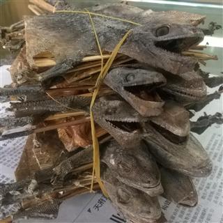 蛤蚧干12cm 补肾壮阳 固精治阳痿早泄 定喘止咳