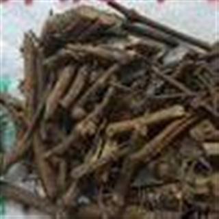 吉康药业 优质石南藤 石楠藤 爬岩香,巴岩香 正品 优质