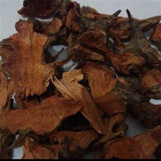            吉康药业中药材九牛力