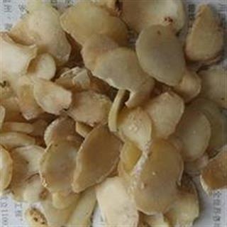 平安药业 制南星 正品 促销