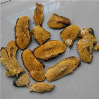 虎杖片