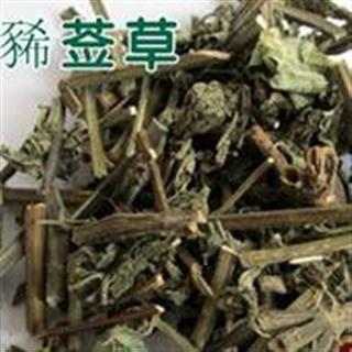 新辉药业豨莶草 粘金强子 粘为扎 珠草 棉苍狼 祛风湿