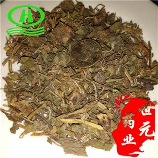 世元药业 蛇含委陵菜 五皮风 五皮草 小龙牙 紫背龙牙