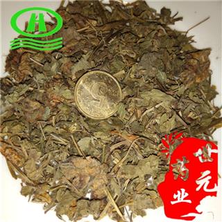 世元药业 蛇含委陵菜 五皮风 五皮草 小龙牙 紫背龙牙