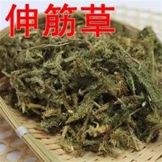 天然野生舒筋草 顺筋草 风湿病的克星