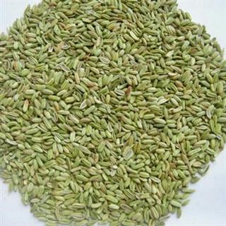 首页 果实籽仁类 小茴香  收藏商品