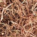 茜草 统 产地 河南省濮阳市南乐县