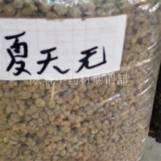              夏天无 中药材批发