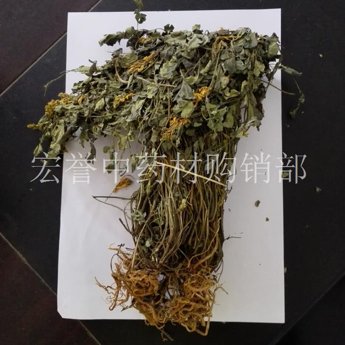 岩黄连 中药材 岩黄莲 正品 岩胡 岩连 菊花黄连 正品