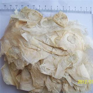 木蝴蝶 千层纸 玉蝴蝶 统 产地 广西壮族