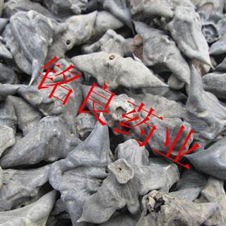 正品 鬼见愁批发 量大从优