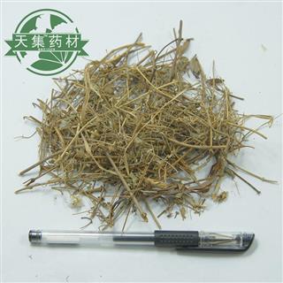 铁线透骨草透骨草透骨草狗肠草统段正品优质名医最爱道地产地山西省