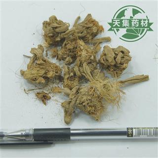 萱草根 漏芦果 漏芦根果 黄花菜根 天鹅孵蛋 绿葱兜 水大蒜 皮蒜 统段