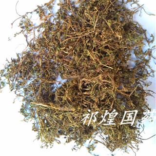 鹅不食草 选 产地 河北省保定市安国市