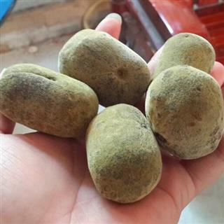 20ƽڻٺѹ