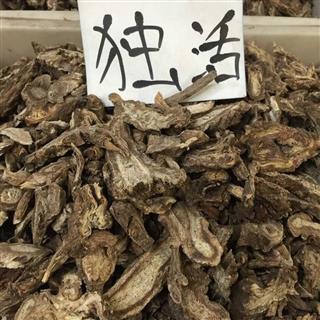 牛尾独活 统片 产地 四川省阿坝藏族羌族自治州