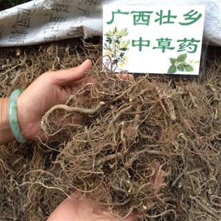          广西壮乡中草药 野生 .