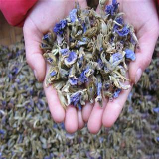 煜庭药业 葛花 正品