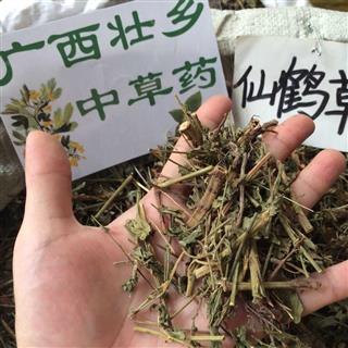 广西壮乡中草药野生优质带根全草仙鹤草产地广西柳州