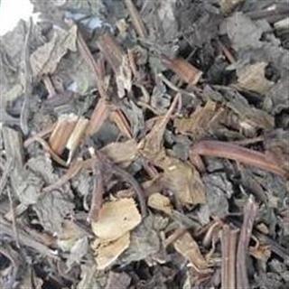 紫苏叶 统 产地直销 解表散寒 抑菌解毒 镇咳化痰 理气安胎 产地 山东
