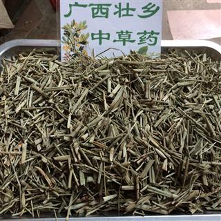 广西壮乡中草药 野生 木贼 木贼草 千峰草 锉草 笔头草 笔筒草 节骨草