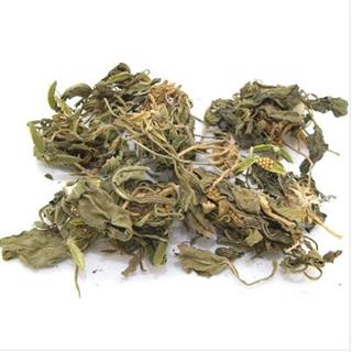 紫花地丁 包测含量 gsp认证